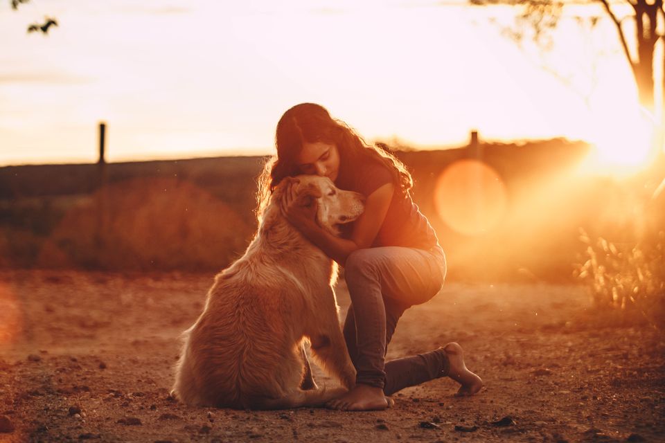 Frau umarmt ihren Golden Retriever liebevoll im Abendlicht