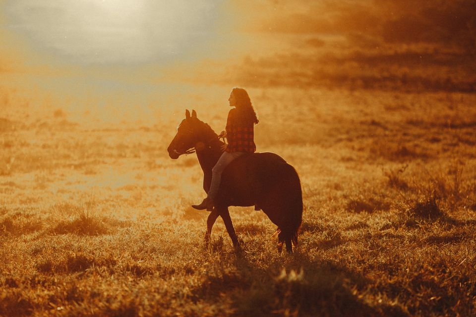 Reiterin auf ihrem Pferd in der goldenen Abendsonne auf der Weide